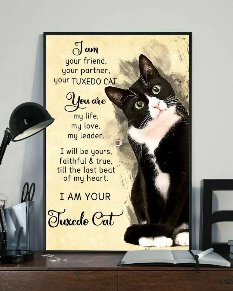 I Am Your Friend You Partner Your Tuxedo Cat You Are My Life My Love Cat Poster