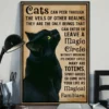 Cats Can Peer Through the Veils of Other Realms I Love Cat Black Cat Poster