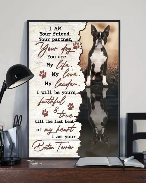 I Am Your Friend Your Partner Your Dog You Are My Life Boston Terrier Poster