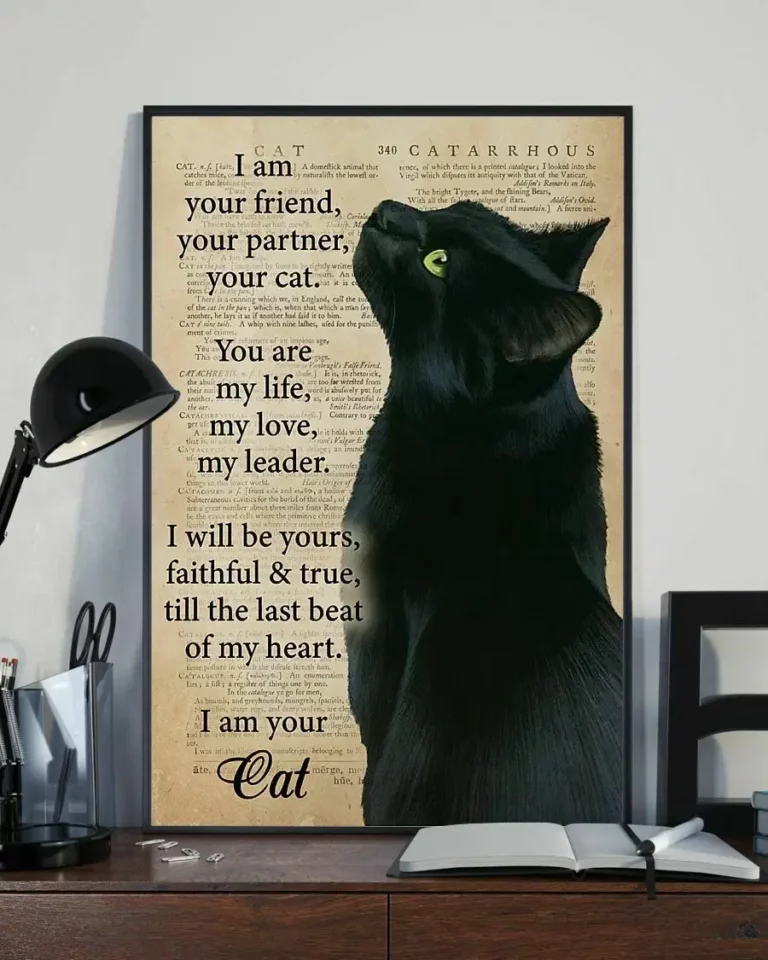 I Am Your Friend Your Partnet Your Cat You Are My Life Black Cat Poster