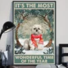 It's The Most Wonderful Time Of The Year Shih Tzu Christmas Dog Poster 3 Its the Most Wonderful Time of the Year Shih Tzu Christmas Dog Poster