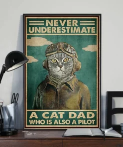 Never Underestimate A Cat Dad Who Is Also A Pilot Poster
