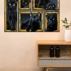 Funny Black Cat In Framed Poster