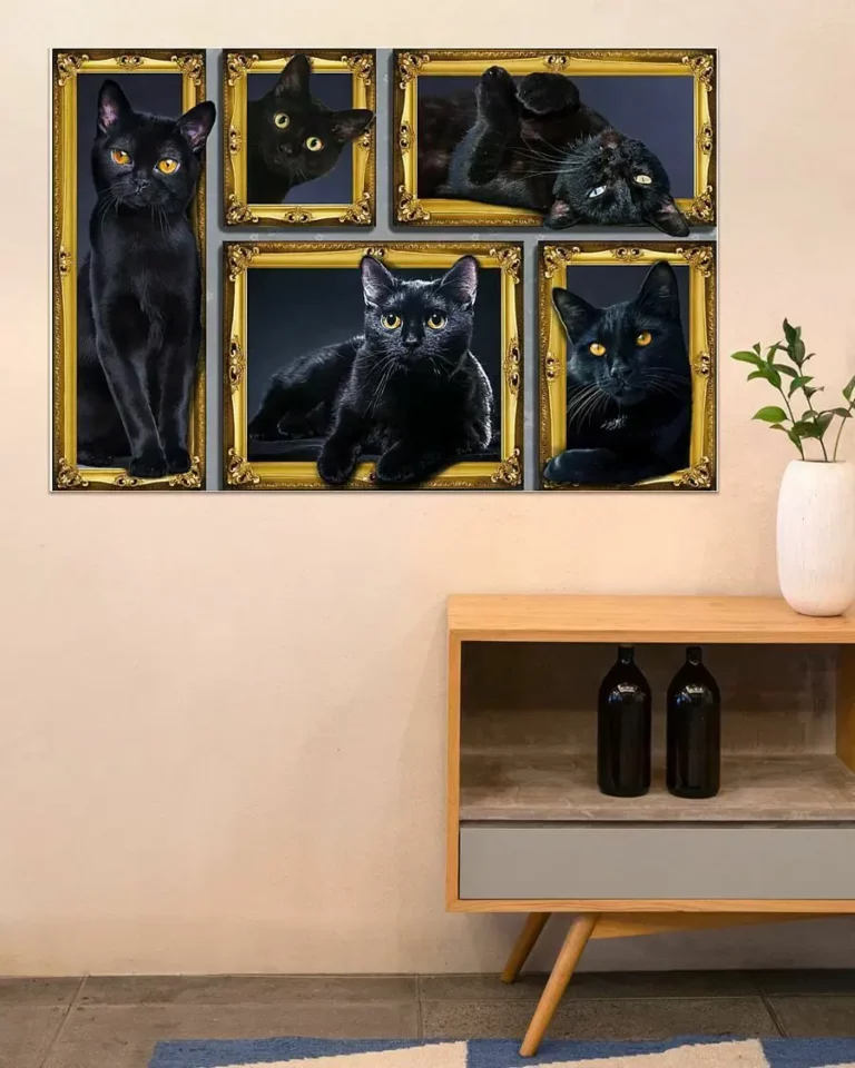 Funny Black Cat In Framed Poster