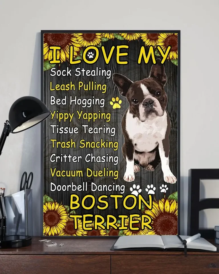 I Love My Sock Stealing Leash Pulling Sunflower Boston Terrier Dog Poster