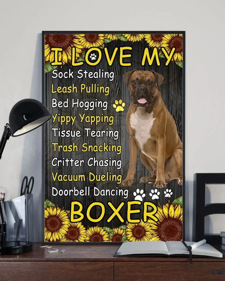 I Love My Sock Stealing Leash Pulling Sunflower Boxer Dog Poster